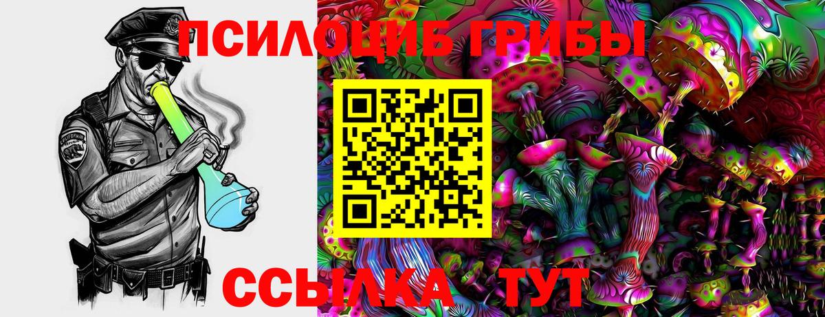 Галлюциногенные грибы ЛСД Новоалександровск